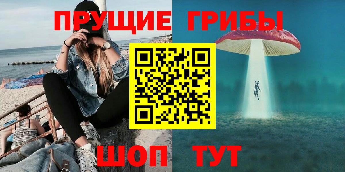 Псилоцибиновые грибы ЛСД  Вход с VPN  Димитровград 