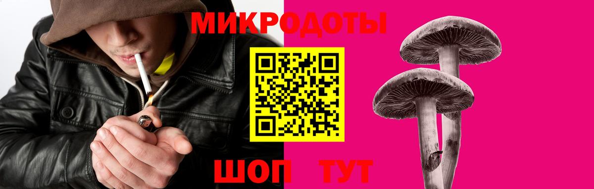 Псилоцибиновые грибы мухоморы Димитровград